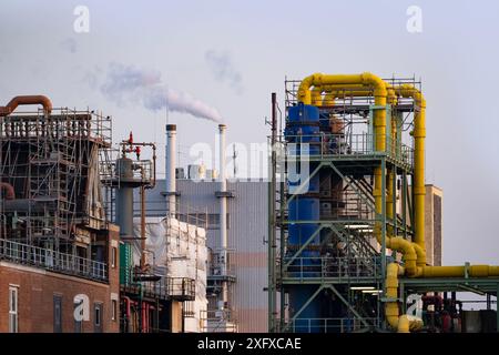 Moderno impianto chimico a Francoforte, Germania, fabbrica con vapore proveniente dal camino, complessità dell'industria chimica, riscaldamento globale, produzione e. Foto Stock