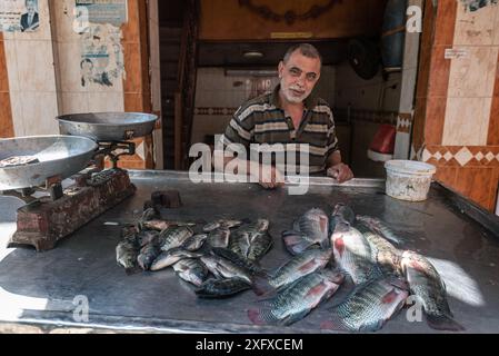 Rosetta, Egitto. 27 giugno 2024 un egiziano che vende pesce fresco pescato nel Nilo nel suq di Rosetta nel delta del Nilo, in Egitto. Foto Stock