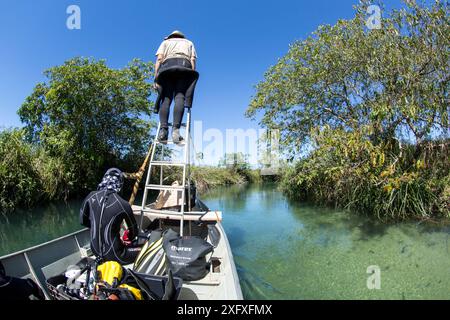 Scava il fiume su una piccola barca guidata da un motore elettrico alla ricerca di Anacondas, fiume Formoso, Bonito, Mato grosso do sul, Brasile Foto Stock