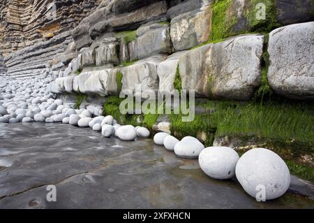 Nash Point, Monknash Coast, vale of Glamorgan, Galles, Regno Unito, giugno 2006. Foto Stock