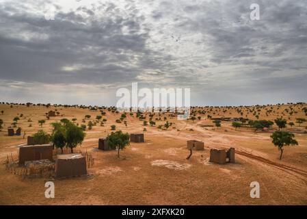 Nicolas Remene / le Pictorium - Eknewane Intikane Tilia Tahoua Niger - 11/10/2019 - Niger / Tahoua / Eknewane - Vista del paesaggio Eknewane nel dipartimento di Tilia, regione di Tahoua, 11 ottobre 2019. Eknewane si trova non lontano da Intikane, un villaggio che ospita 20.000 rifugiati maliani e il loro bestiame nella ZAR (zone d'accueil des Refugies) dal 2013. Foto Stock