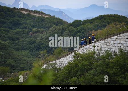 (240705) -- PECHINO, 5 luglio 2024 (Xinhua) -- i lavoratori camminano nella sezione Jiankou della grande Muraglia a Pechino, capitale della Cina, 2 luglio 2024. Quarant’anni fa, a Pechino è stata lanciata una campagna per proteggere la grande Muraglia con l’aiuto dei fondi sociali. Oggi le forze sociali svolgono ancora un ruolo cruciale nella protezione e nel restauro della grande Muraglia. Un progetto di restauro in corso della sezione Jiankou della grande Muraglia adotta un approccio "archeologia e restauro simultaneo", dove i lavori archeologici vengono completati su una sezione prima dell'inizio del restauro. Il progetto di restauro, con la p Foto Stock