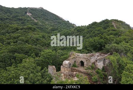 (240705) -- PECHINO, 5 luglio 2024 (Xinhua) -- una foto aerea scattata il 1° luglio 2024 mostra una torre di guardia della sezione Jiankou della grande Muraglia a Pechino, capitale della Cina. Quarant’anni fa, a Pechino è stata lanciata una campagna per proteggere la grande Muraglia con l’aiuto dei fondi sociali. Oggi le forze sociali svolgono ancora un ruolo cruciale nella protezione e nel restauro della grande Muraglia. Un progetto di restauro in corso della sezione Jiankou della grande Muraglia adotta un approccio "archeologia e restauro simultaneo", dove i lavori archeologici vengono completati su una sezione prima dell'inizio del restauro. Foto Stock