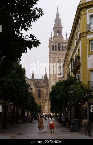 Siviglia, Spagna. 7 febbraio 2024 - Una vista sulla torre della cattedrale di Siviglia da una strada Foto Stock