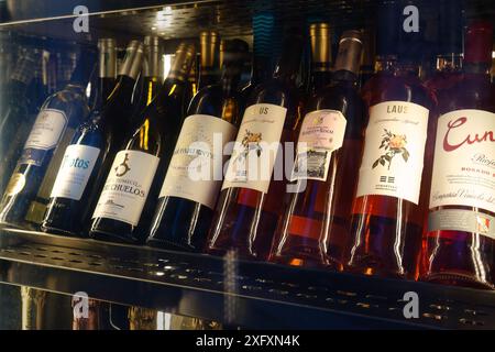 Siviglia, Spagna. 4 febbraio 2024 - bottiglie di vino spagnolo esposte in un locale fresco Foto Stock