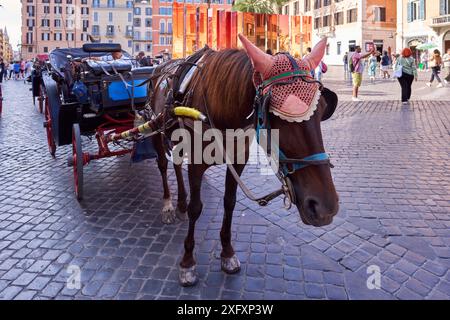 Carrozza a cavallo in Piazza di Spagna a Roma, Italia. Concetto di sfruttamento animale. Foto Stock