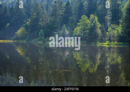 Lago Blanchemer in estate, Lac de Blanchemer, la Bresse, Vosges, Francia, Europa Foto Stock