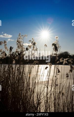 Superficie ghiacciata dell'Alster esterno nella città invernale di Amburgo, sullo sfondo la torre della televisione di Amburgo Foto Stock