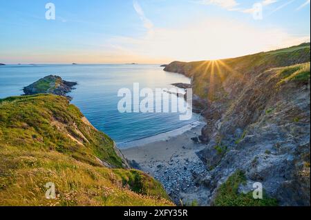 Costa, baia, mare, tramonto, estate, Whitesands Bay, St Davids, Pembrokeshire Coast National Park, Galles, Regno Unito Foto Stock