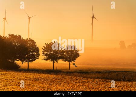 Turbine eoliche del parco eolico di Bründersen-Istha nella nebbia mattutina, campi in primo piano. Distretto di Waldeck-Frankenberg, Assia, Germania. Foto Stock