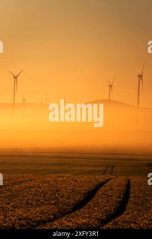 Turbine eoliche del parco eolico di Bründersen-Istha nella nebbia mattutina, campi in primo piano. Distretto di Waldeck-Frankenberg, Assia, Germania. Foto Stock