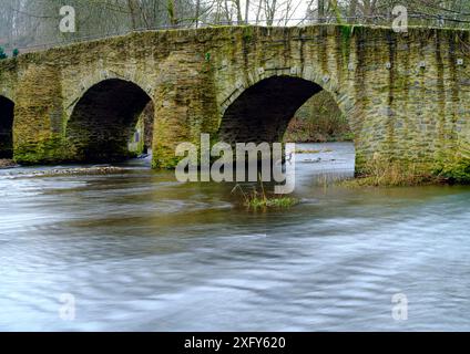 Europa, Germania, Renania-Palatinato, Westerwald, Hoher Westerwald, Kroppacher Schweiz, antico ponte ad arco in pietra nella valle del Große Nister Foto Stock