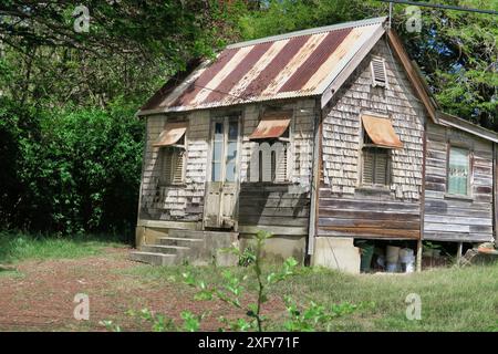 Casa in legno nelle Barbados rurali, Caraibi. Zona agricola. Povertà. Shack. Agricoltore. Piantagione. Foto Stock