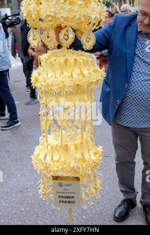 Arte e artigianato, vincitore, uomo, domenica delle palme, palme bianche, tradizione, costumi, Semana Santa, Elche, Alicante, autonomia di Valencia, Spagna Foto Stock