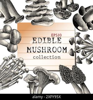 Illustrazione antica incisione di funghi commestibili per lo sfondo disegnare a mano clip art in bianco e nero Illustrazione Vettoriale