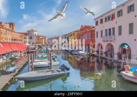 Vista del Canal Vena con la struttura del mercato del pesce rosso e molti gabbiani che volano, Chioggia, città costiera della città metropolitana di Venezia, Veneto, Italia Foto Stock