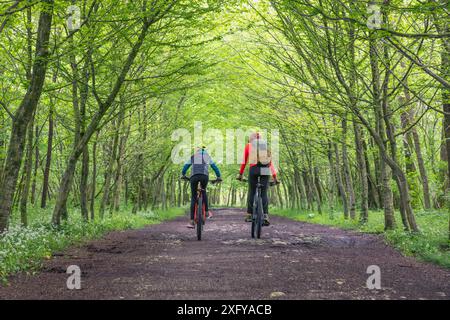 Due ciclisti in mountain bike su una strada sterrata tra gli alberi, Sedico, Belluno, Veneto, Italia Foto Stock