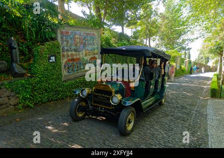 Palazzo Monte, Giardino tropicale, quartiere Monte, Funchal, Isola di Madeira, Ilha de Madeira, Oceano Atlantico, Portogallo Foto Stock