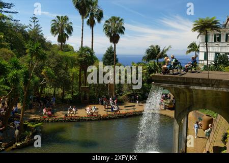 Palazzo Monte, Giardino tropicale, quartiere Monte, Funchal, Isola di Madeira, Ilha de Madeira, Oceano Atlantico, Portogallo Foto Stock