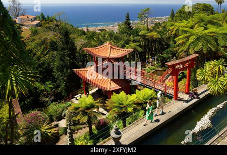 Giardino Giapponese a Monte Palace, Giardino tropicale, quartiere Monte, Funchal, Isola di Madeira, Ilha de Madeira, Oceano Atlantico, Portogallo Foto Stock