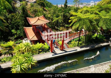 Giardino Giapponese a Monte Palace, Giardino tropicale, quartiere Monte, Funchal, Isola di Madeira, Ilha de Madeira, Oceano Atlantico, Portogallo Foto Stock