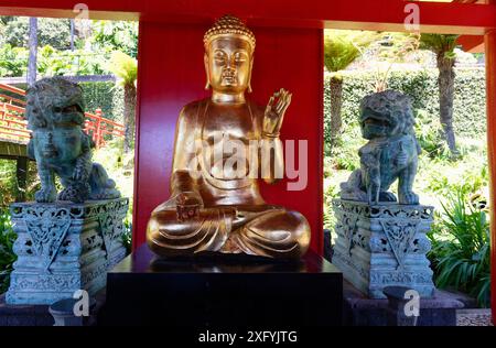 Giardino giapponese con scultura buddista a Monte Palace, Giardino tropicale, quartiere Monte, Funchal, Isola di Madeira, Ilha de Madeira, Oceano Atlantico, Portogallo Foto Stock