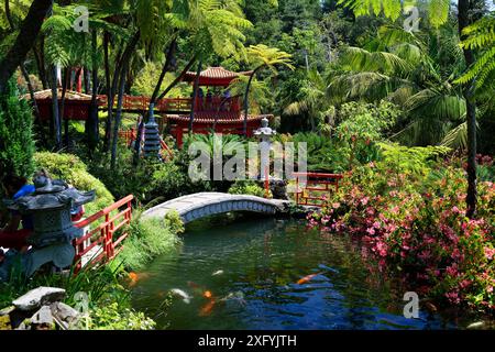 Giardino Giapponese a Monte Palace, Giardino tropicale, quartiere Monte, Funchal, Isola di Madeira, Ilha de Madeira, Oceano Atlantico, Portogallo Foto Stock