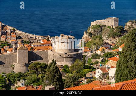 Fortezza di Minceta e fortezza di Lovrijenac viste dall'alto, Dubrovnik, Croazia, Europa Foto Stock