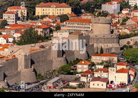 Mura della città e fortezza di Minceta viste dall'alto, Dubrovnik, Croazia, Europa Foto Stock