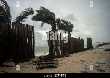 Tulum, Messico. 5 luglio 2024. Danni sulla spiaggia nella regione di vacanza dopo il passaggio dell'uragano "Beryl". I forti venti dell'uragano hanno rovesciato alberi, piloni elettrici e case coperte. Secondo il capo della difesa civile messicana Velazquez, il 50% del potere fu tagliato a Tulum, tra gli altri luoghi. Crediti: Felix Marquez/dpa/Alamy Live News Foto Stock