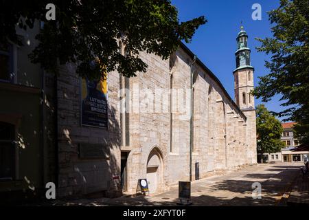 Kornmarktkirche die unter Denkmalschutz stehende Kornmarktkirche ist eine der zwölf mittelalterlichen Kirchbauten in der thüringischen Stadt Mühlhausen. MIT dem Bau der Kirche St. Crucis des ehemaligen Franziskanerklosters wurde im 13. Jahrhundert begonnen. Heute Dient Die Kirche als Bauernkriegsmuseum. Mühlhausen Thüringen Deutschland *** Kornmarktkirche la Kornmarktkirche elencata è una delle dodici chiese medievali nella città Turingia di Mühlhausen la costruzione della chiesa di San Crucis dell'ex monastero francescano iniziò nel XIII secolo oggi la chiesa funge da pisello Foto Stock