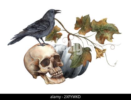 Zucca nera, cranio umano, corvo nero, foglie di zucca e farfalle. Illustrazione botanica ad acquerello disegnata a mano. Adatto per decorazione, carte, Foto Stock