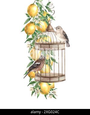 Ramo con limoni gialli, fiori e foglie, gabbia di bronzo sospesa e uccelli. Illustrazione isolata ad acquerello in stile vintage. Composizione fatta a mano Foto Stock
