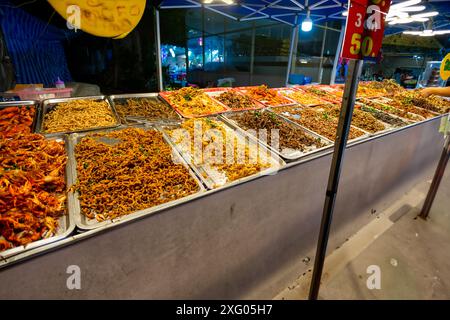 Una foto di scorta di insetti fritti potrebbe rappresentare un primo piano di un piatto o di una ciotola riempiti di vari tipi di insetti croccanti e dorati. Gli insetti Foto Stock