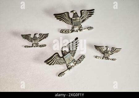 STILL Life, ufficiale militare degli Stati Uniti, colonnello Insignia Rank, USA Foto Stock