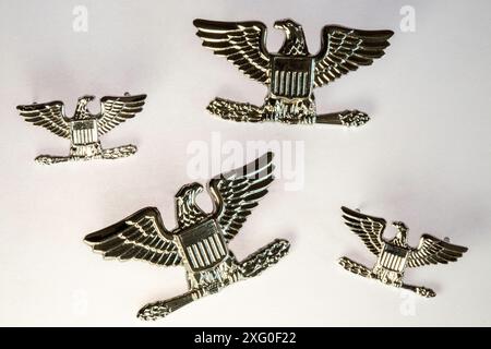 STILL Life, ufficiale militare degli Stati Uniti, colonnello Insignia Rank, USA Foto Stock