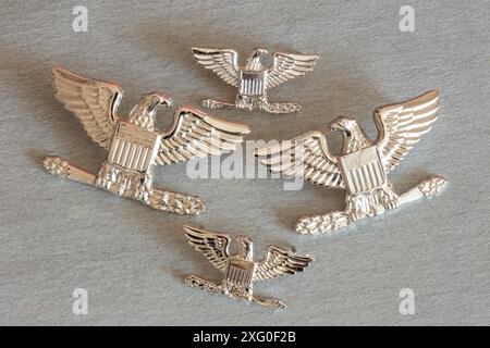 STILL Life, ufficiale militare degli Stati Uniti, colonnello Insignia Rank, USA Foto Stock