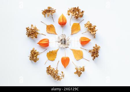 Autunno mandala piatto giacitura, foglie cadute e fiori secchi allineati in un modello rotondo mandala su sfondo bianco Foto Stock