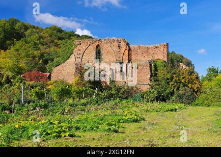 Rovine del monastero di Meissen Heilig Kreuz im Obstgarten mit Apfelbaeumen, rovine del monastero di Meissen Heilig Kreuz e frutteto con alberi di mele Foto Stock