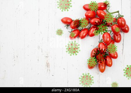 Varicella di pomodoro, focolaio del virus in India, diffusione di malattie infettive Foto Stock