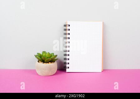 Blocco note vuoto con una matita su sfondo rosa e grigio, pentola con un cactus, spazio copia per il testo, scrivania ufficio Foto Stock