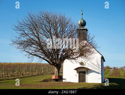 Vigne autunnali, cappella del giardino del vino a Neckenmarkt, distretto Oberpullendorf, Burgenland, Austria Foto Stock