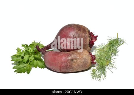 Le barbabietole rosse giacciono su uno sfondo bianco insieme a foglie di spezie verdi. Foto Stock