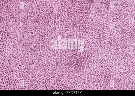 Tessuto rosa jacquard con texture astratta primi piani, macro. Tappezzeria, struttura in tessuto decorativo per tende, tela per l'arredamento della casa. Sfondo, Foto Stock