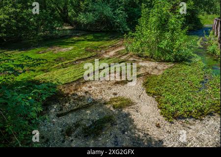 Il lago di posta Fibreno si trova in Valle Comino. Oltre alla sua fauna endemica, il lago è noto per la presenza di una isl galleggiante naturale Foto Stock