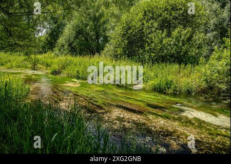 Il lago di posta Fibreno si trova in Valle Comino. Oltre alla sua fauna endemica, il lago è noto per la presenza di una isl galleggiante naturale Foto Stock