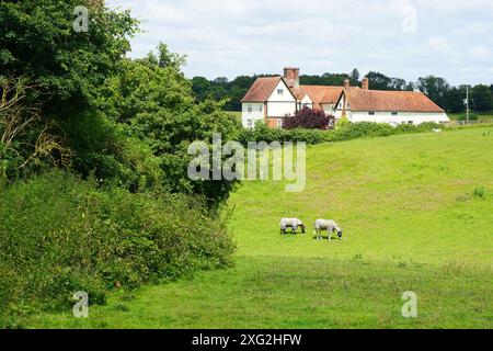 Little Lodge Farm, Castle Hedingham Foto Stock