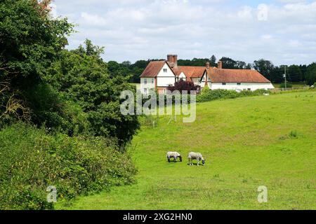 Little Lodge Farm, Castle Hedingham Foto Stock