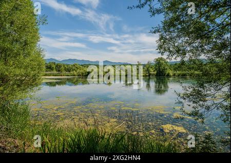 Il lago di posta Fibreno si trova in Valle Comino. Oltre alla sua fauna endemica, il lago è noto per la presenza di una isl galleggiante naturale Foto Stock