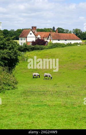 Little Lodge Farm, Castle Hedingham Foto Stock